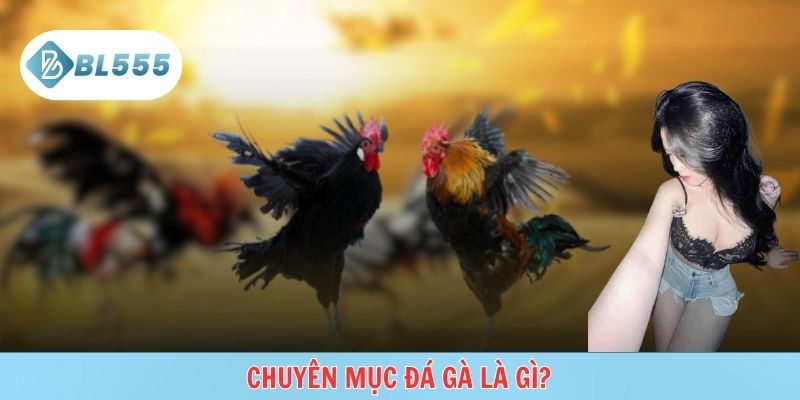 Hình thức chơi online xem live, cược linh hoạt, minh bạch