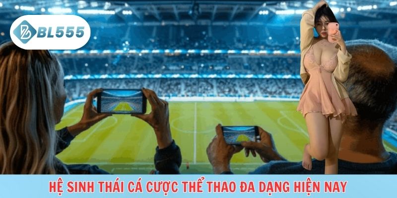Cá cược với nhịp nhanh, chiến thuật rõ ràng, dễ tiếp cận